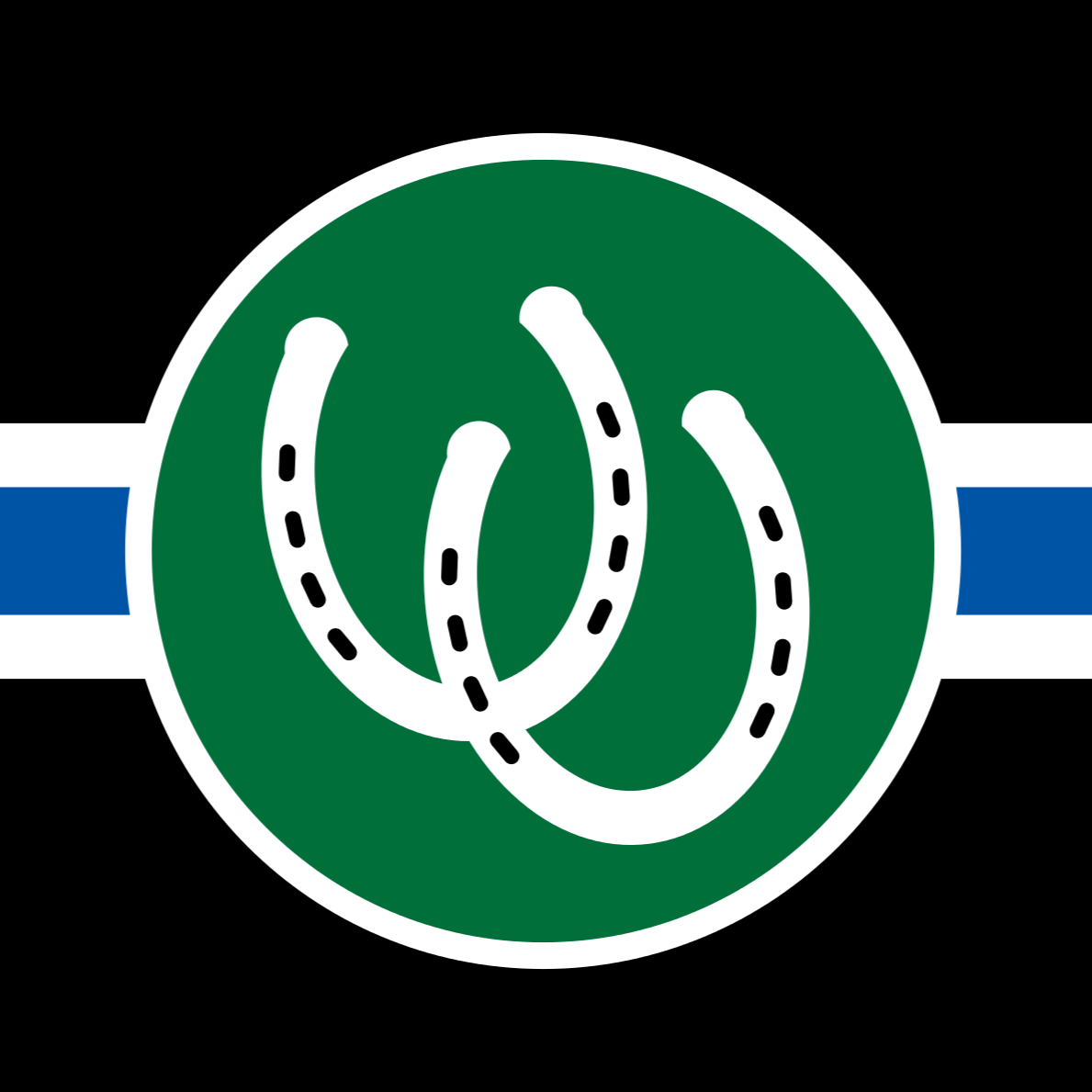 Pony Pride Flag, Carrie P. 2007.