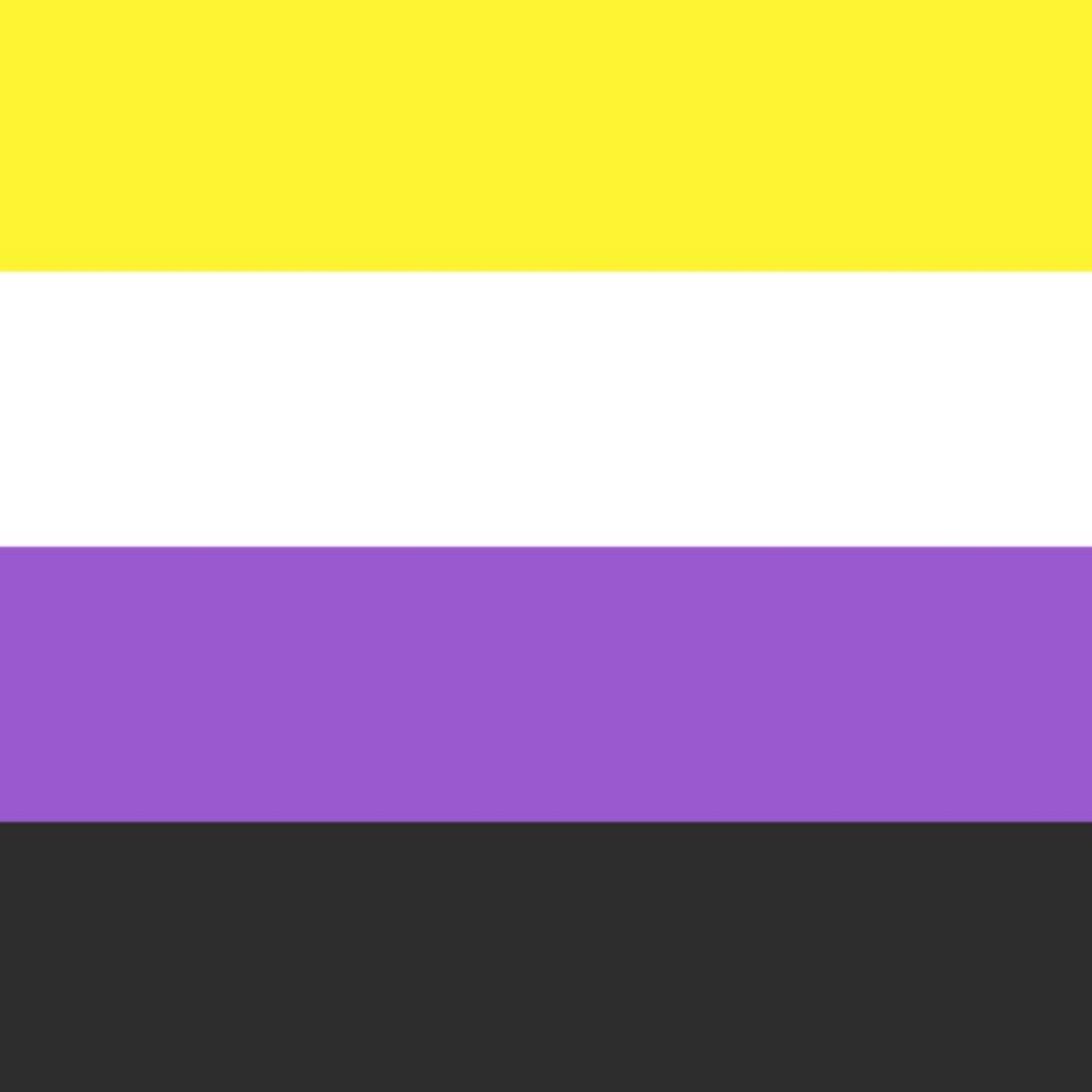 Non-binary Pride Flag, 2014.