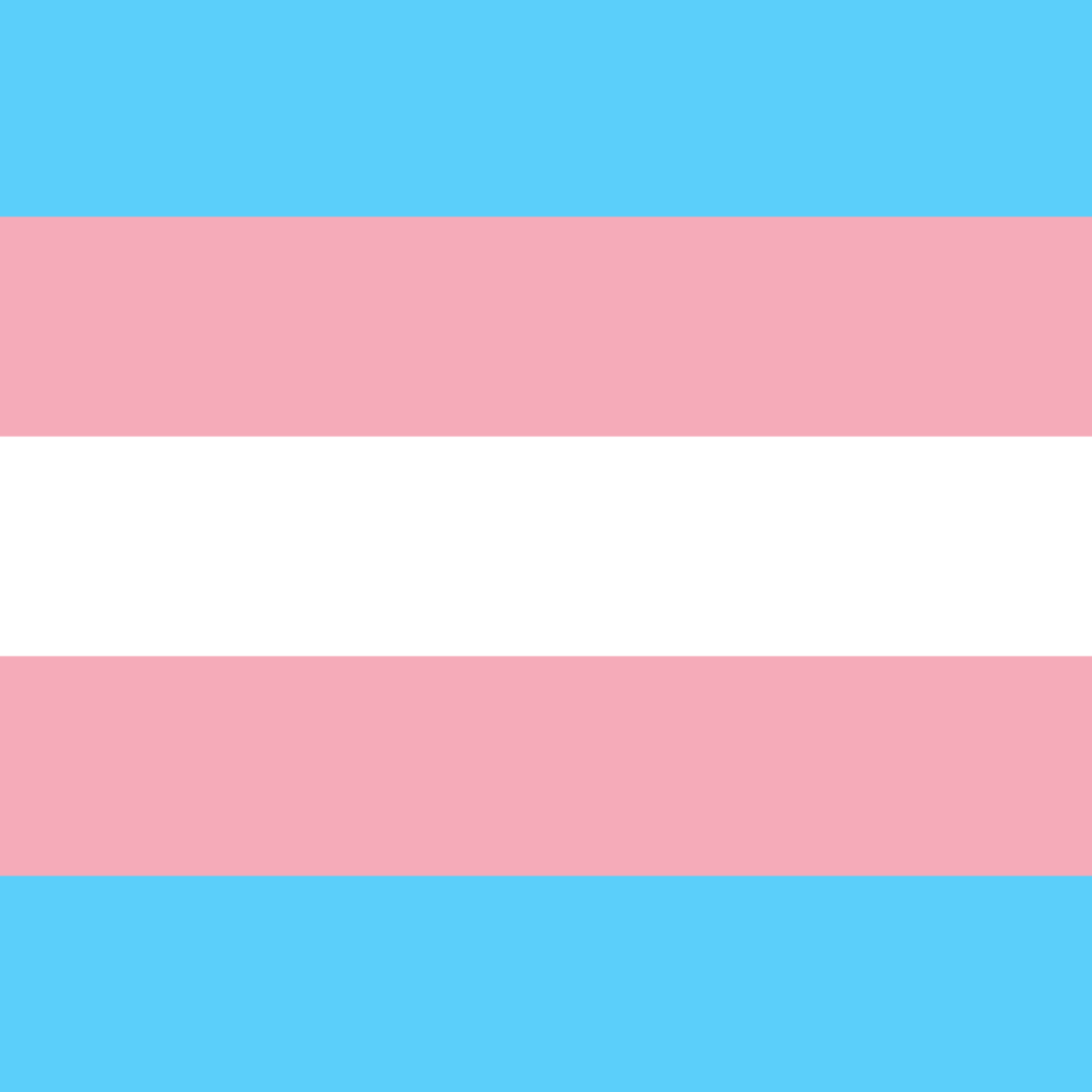 Trans* Pride Flag. Designed by Monica Helms. 1999.