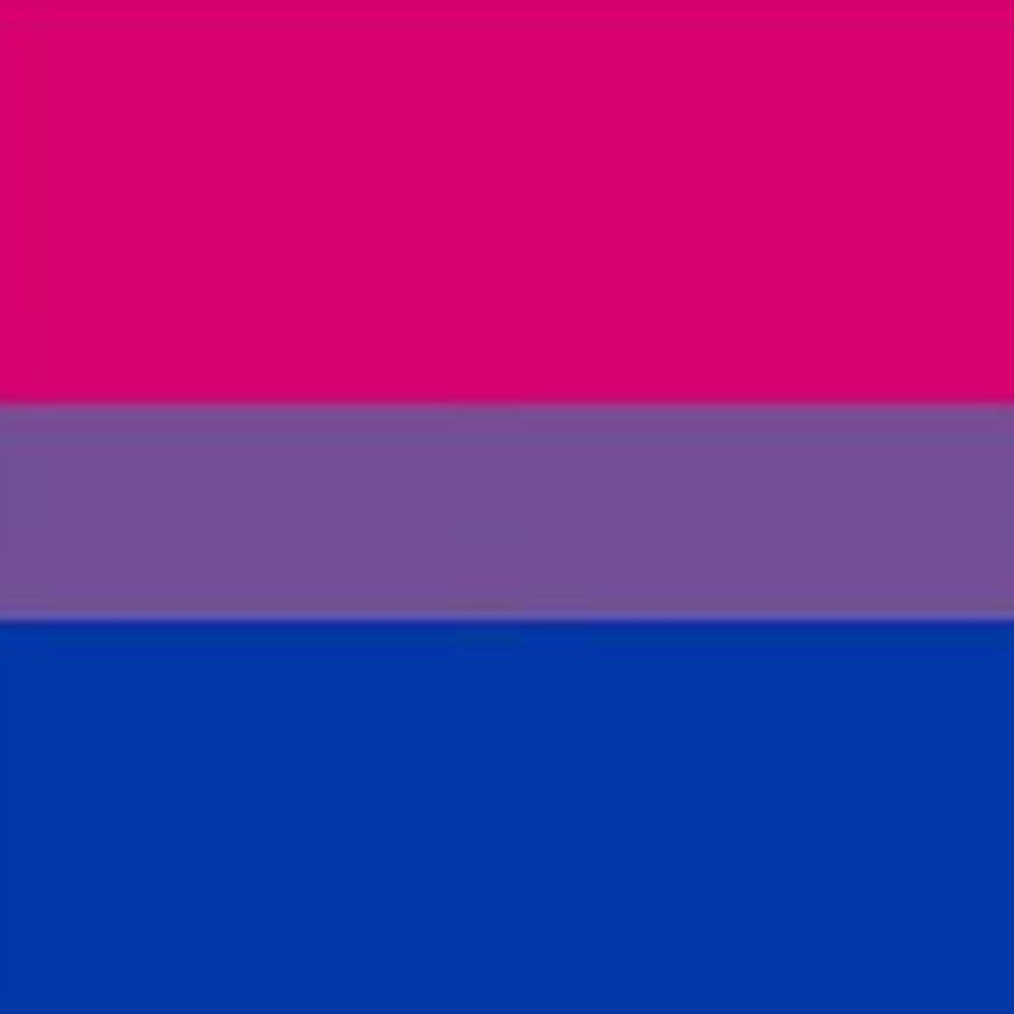 Bisexual Pride Flag, 1999.