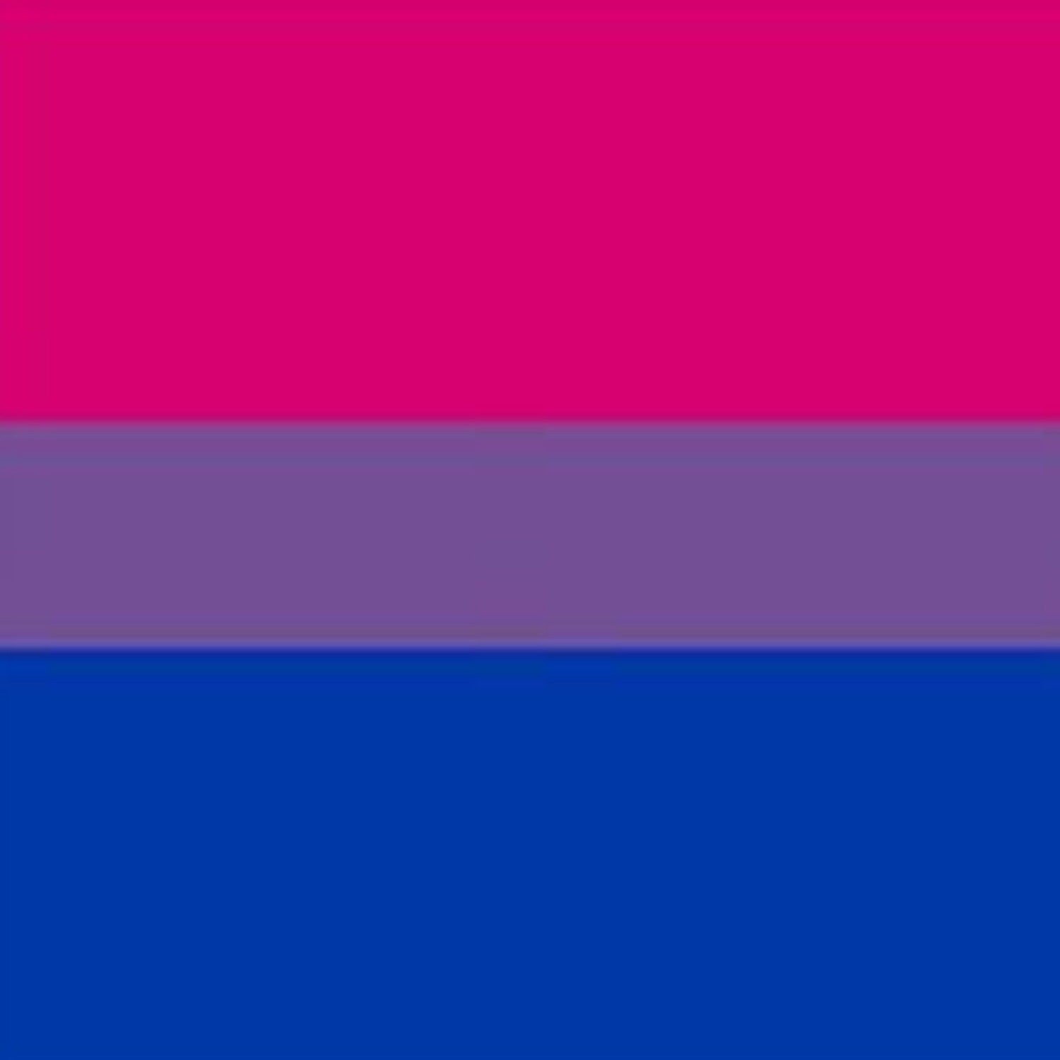 Bisexual Pride Flag, 1999.