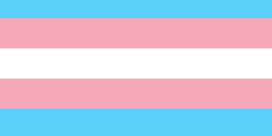 Collage Art- Trans Pride Flag